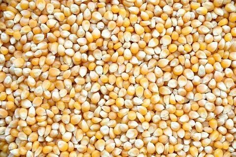 Кукуруза какой это продукт