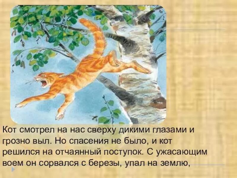 Кот ворюга паустовский вопросы. Паустовский ворюга. Кот Паустовский кот ворюга. Паустовский к. "кот-ворюга".