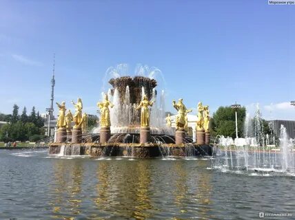 Комфорт парк вднх