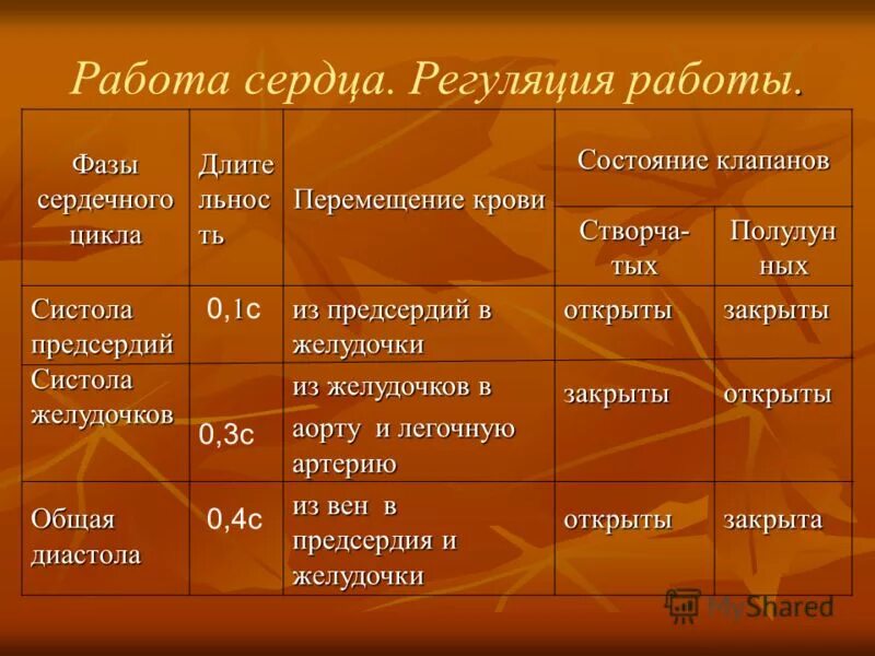 Сокращение предсердий положение клапанов