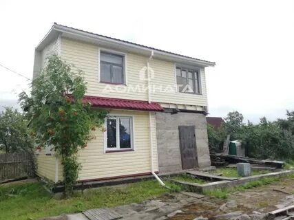 Антропшино купчино антропшино сегодня
