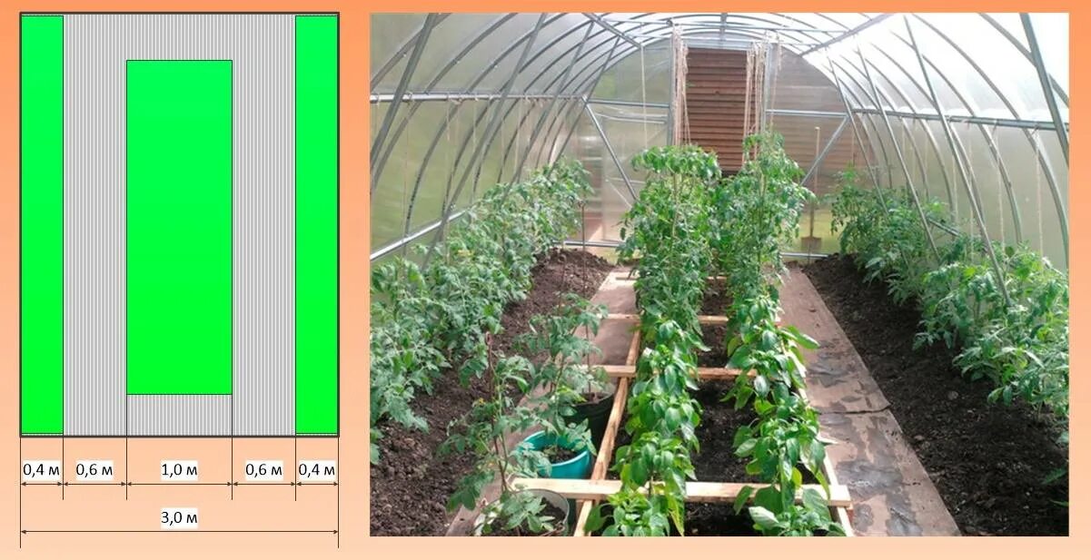 Теплицы правильная посадка. Три грядки в теплице 3х6. Ширина грядок в теплице 3х8. Планировка грядок в теплице 3х4. Теплица 3х4 расположение грядок.