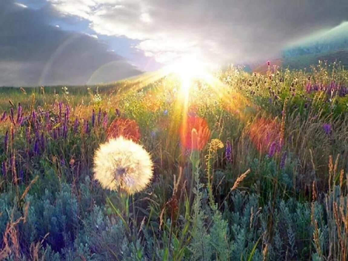 Весенний нам светил ярким солнечным лучом. Рассвет души. Дивная природа. Радость природа. Августовское солнце.