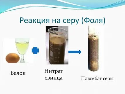 Реакция на белок