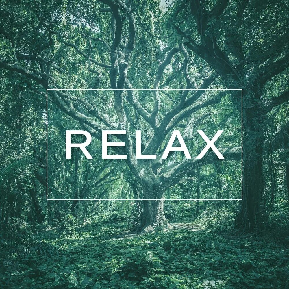 Relax. Relax надпись. Relax обложка альбома. Relax на красивом фоне.