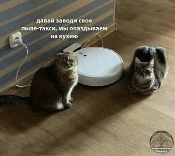 Включи давай 16