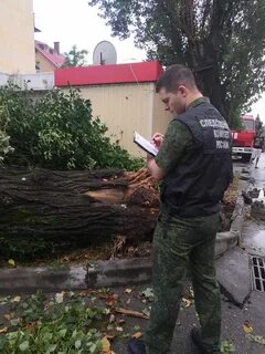 Ураган в сочи 23 декабря