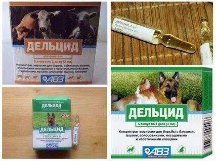 Дельцид в ампулах инструкция