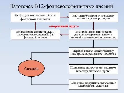 Дефицит фолиевой кислоты и витамина в12
