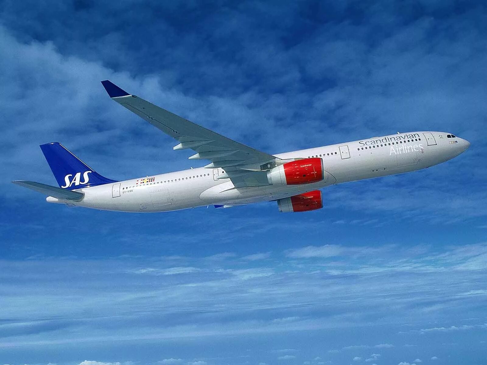 Malaysia airlines logo. Системы бронирования авиабилетов. Авиакомпания scandinavian airlines. Авиакомпания система. Скандинавская авиакомпания sas.