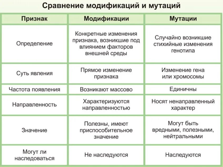 Понятие модификация