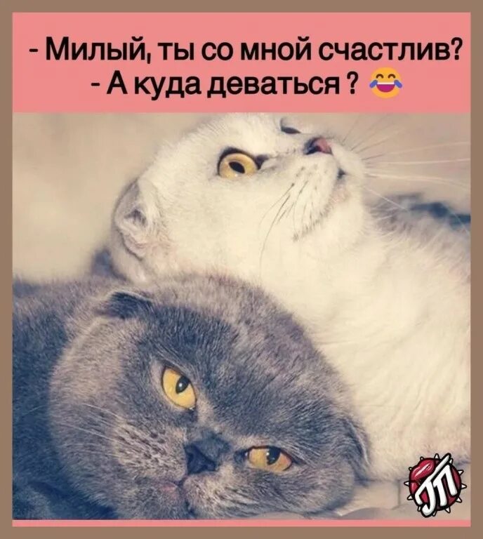 Милый как ты но как это возможно. Милый как ты но как это возможно