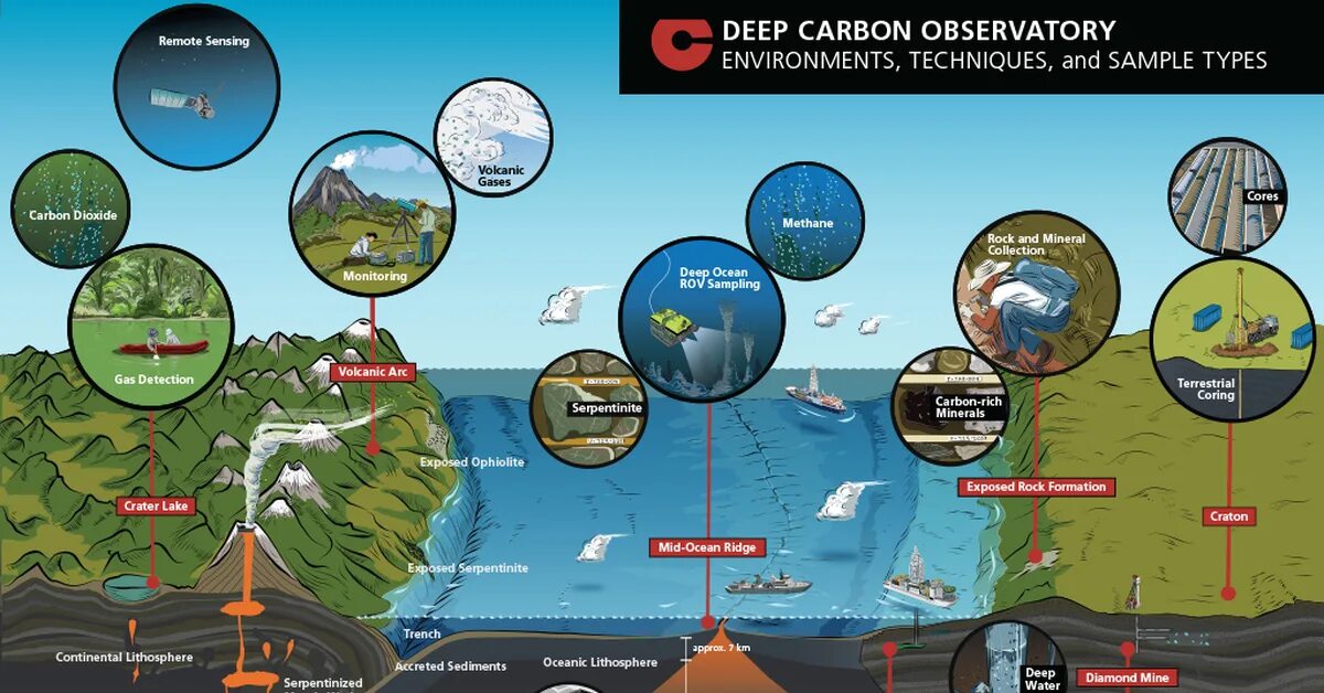 Самая большая экосистема на земле. Deep Carbon Observatory. Самая крупная экосистема земли. Обсерватория глубинного углерода. Самые крупные экосистемы мира.