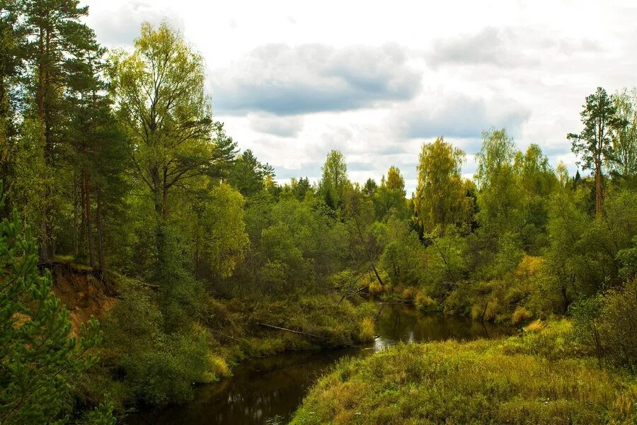 Кирв. Деревня Климовщина Пестовский район река. Река Кирва Пестовский район. Вятка Пестовский район. Река в Богослово.