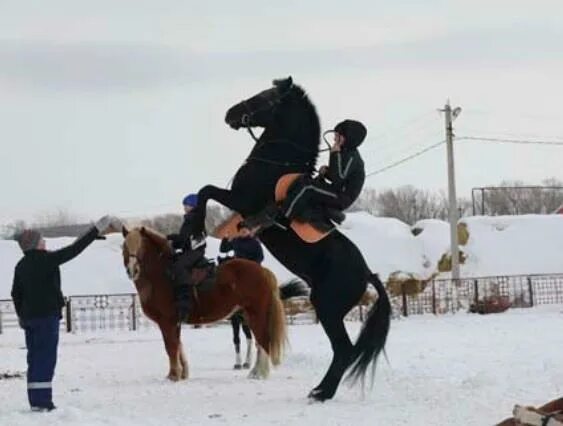 Борская крепость джигитовка. Конно спортивная школа село Борское Самарская область джигитовка. Конная школа в Самарской области. Верховая езда казаки. Крепись россия стой твердыней стойкой