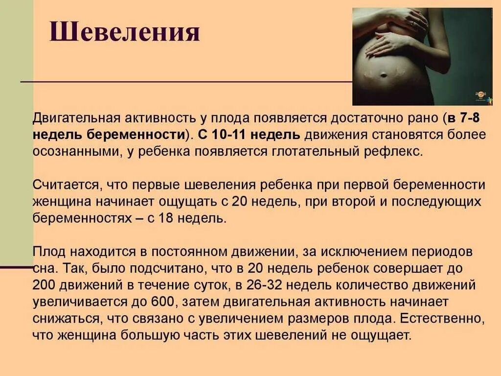 2 триместр форум