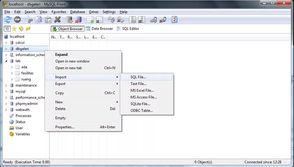 Import variables. SQL файл. MYSQL Front. Object browser SQL. Database Import.