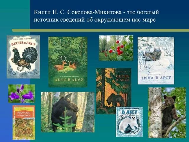 Что общего между произведениями белова. Соколов Микитов произведения для детей. Соколов -Микитов рассказы о природе для детей. Произведения о животных Соколова Микитова.