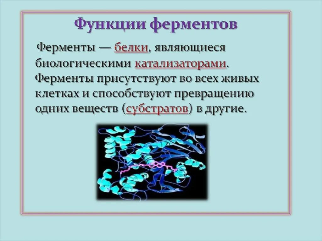 Ферментами являются соединения. Ферменты презентация. Амилаза презентация. Функции ферментов для презентации. Тема ферменты.