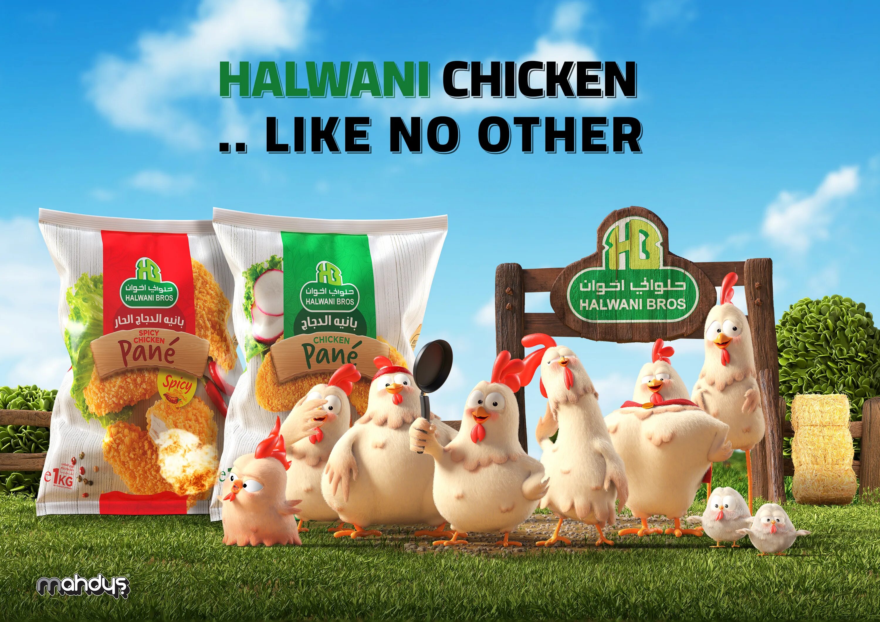 Реклама курочки. Реклама курицы. Баннер курица. Куры реклама. Куриная продукция.