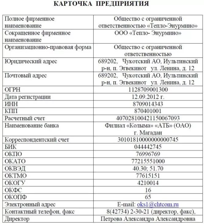 Карточка ооо образец