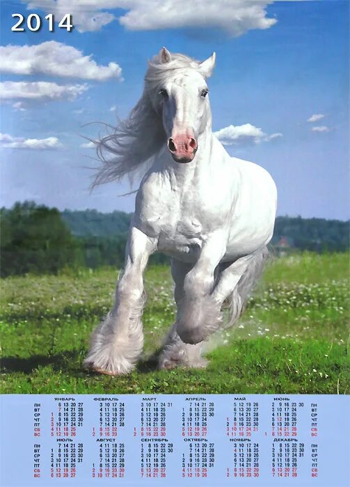 2014 год огненной лошади. Календарь 2014 животные. Calendar 2014 zoo. Календарь 2014 год лошади. Календарь с животными.