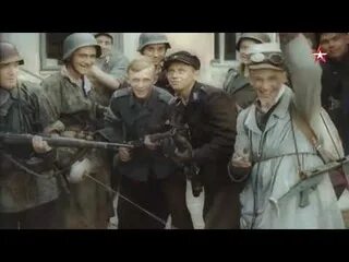 Поляки предательство. Поляки предательство