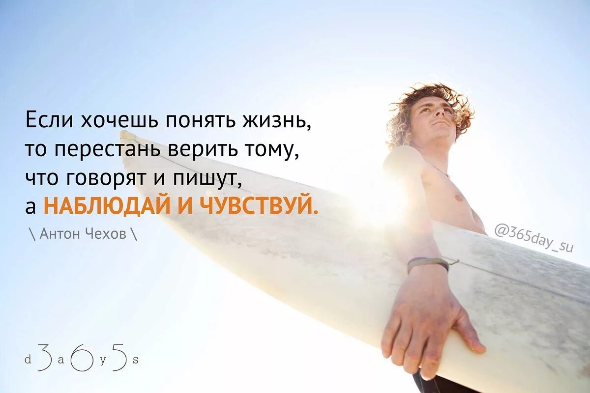 Верю в вечную жизнь. Если хочешь понять жизнь. если хочешь понять жизнь то перестань верить. если хочешь понять жизнь то перестань верить тому что говорят и пишут. хочется верить цитаты.