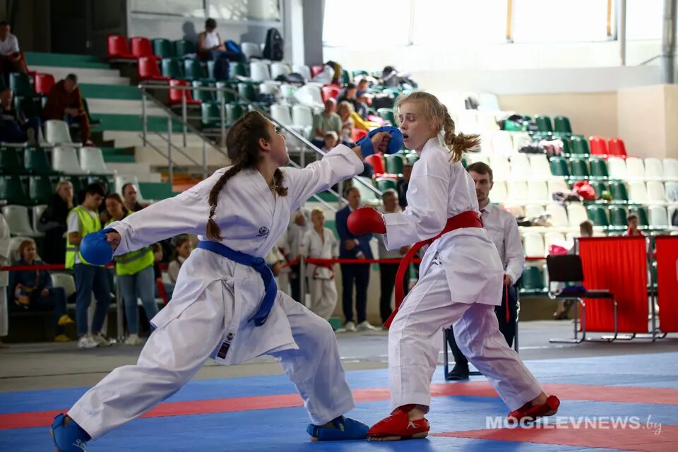 Каратэ. Каратэ соревнования 2023. Международные спортивные соревнования. Карате. Ашихара каратэ соревнования.