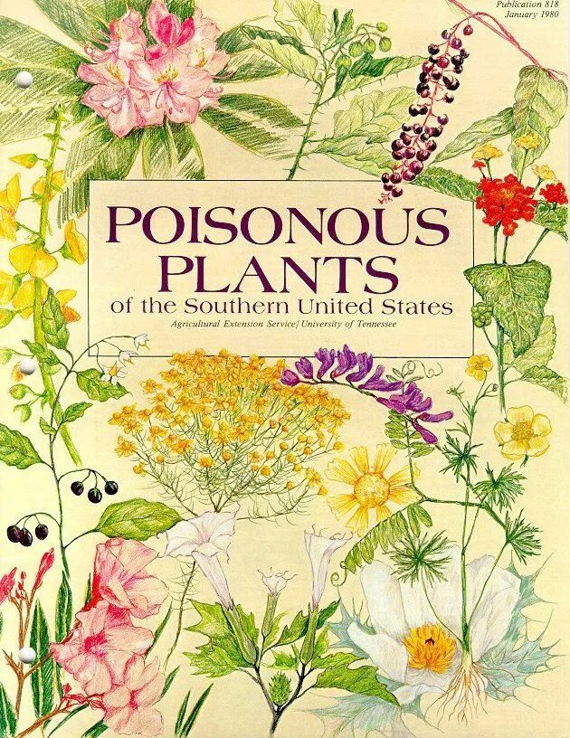 Poison plant. Ядовитые растения книга. Poisonous Plants. Книга с цветами. Растения и яды книга.