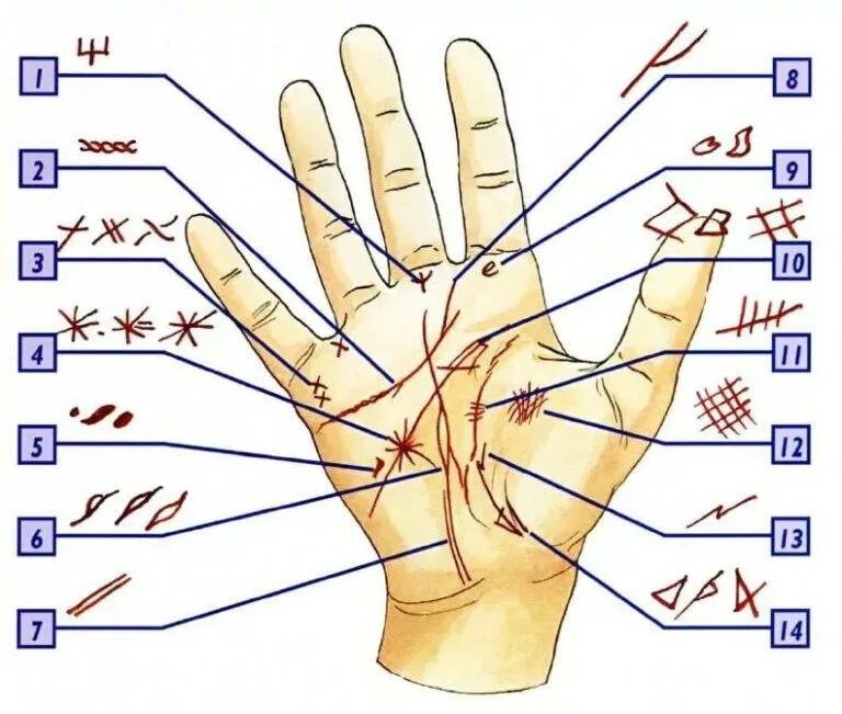 Как определить свою судьбу. Знаки на руке хиромантия. Знаки руками. Ладонь символ. Символы на руке хиромантия.