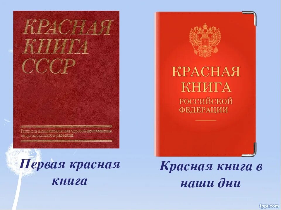 Документы россии в томах. Красная книга. Красная книга России. Первая красная книга РФ. Издание красной книги.