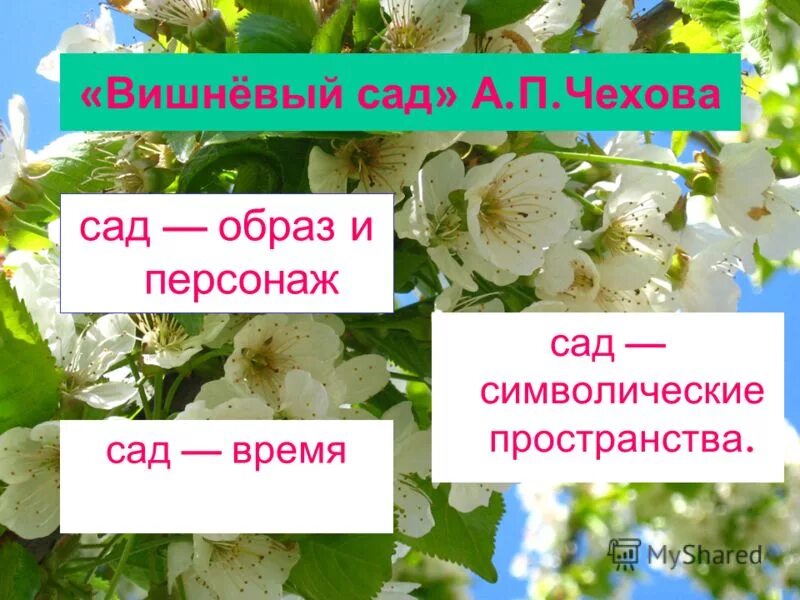 Тест с ответами вишневый сад 10 класс. Вишневый сад персонажи. Вишневый сад презентация. Действующие лица вишневый сад Чехов. Конец вишневого сада.