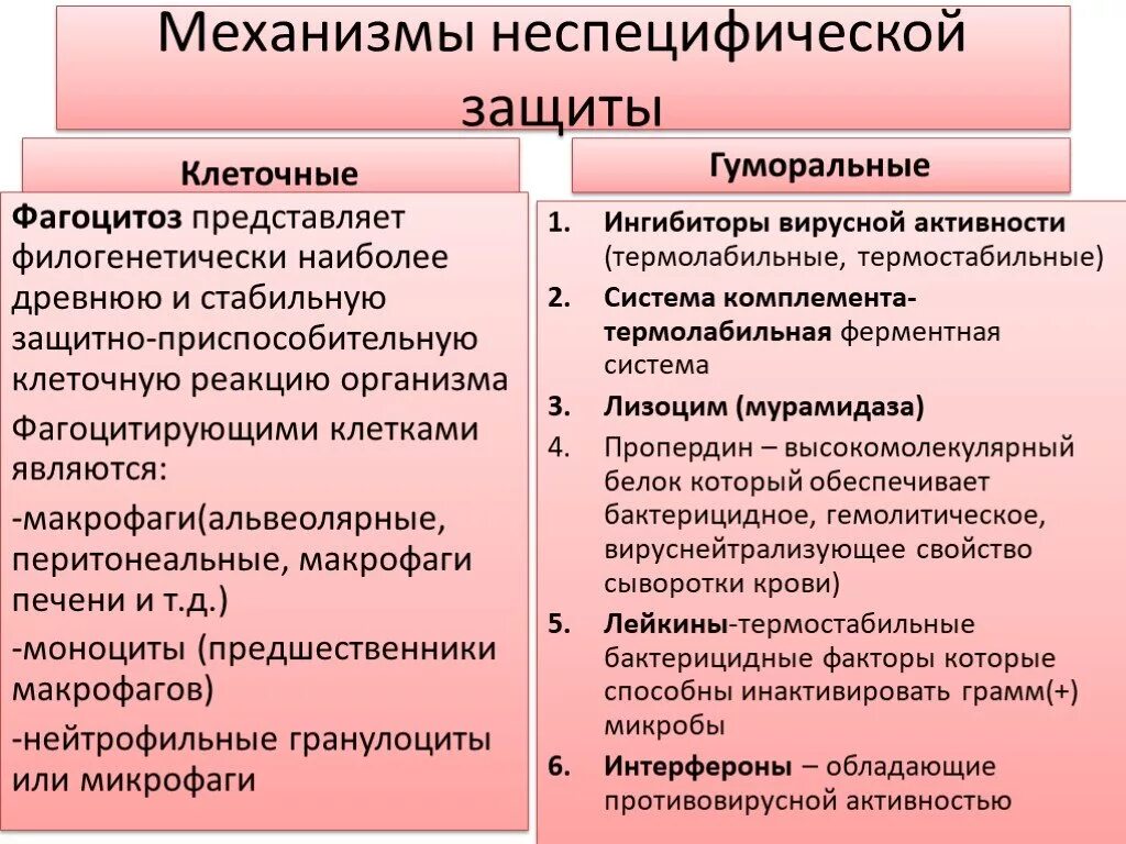 Неспецифические иммунные факторы. Клеточные и гуморальные факторы неспецифической защиты. Неспецифические клеточные факторы. Клеточные факторы защиты организма. Неспецифические клеточные защитные факторы организма.