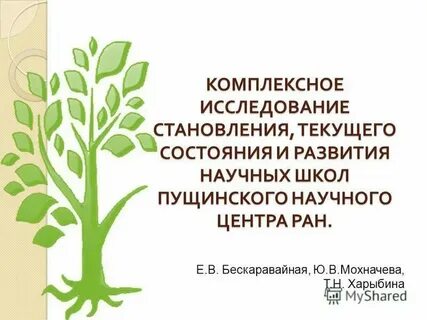 Изучение комплексной системы