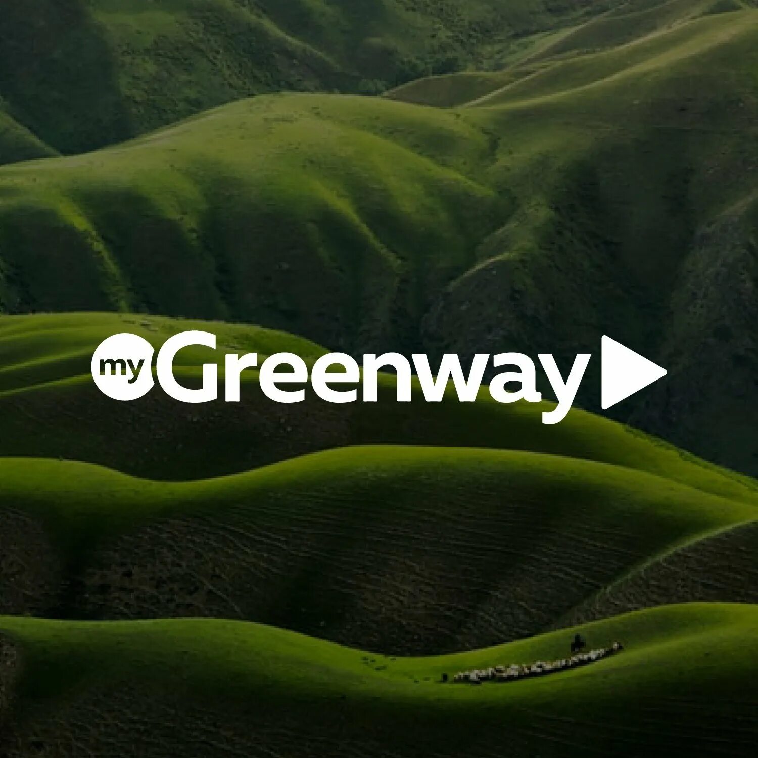 Гринвей. Экотовары Greenway. Картинки Гринвей красивые на заставку. Greenway фон. Greenway картинки