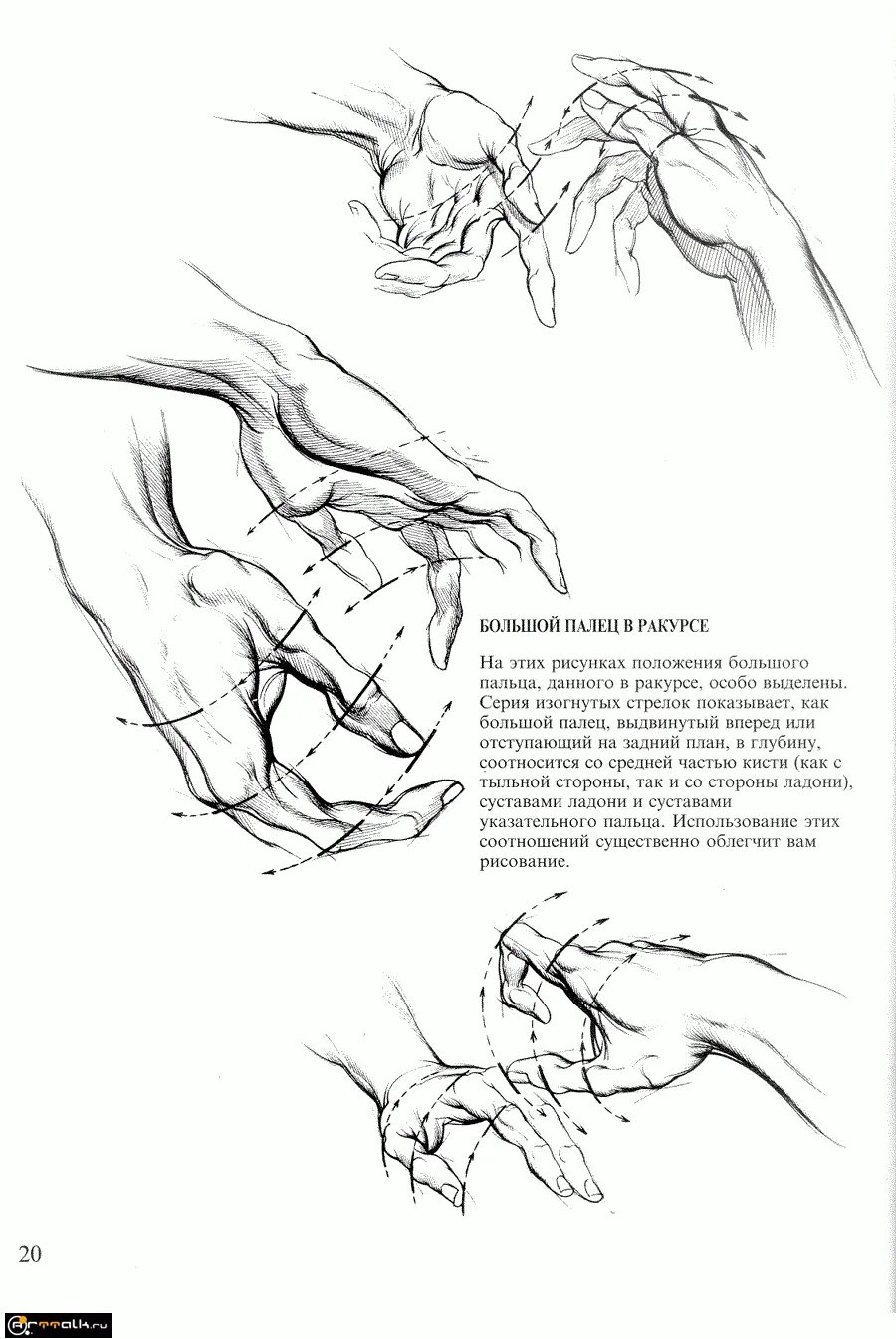 Ракурс инструкция по применению. Берн Хогарт анатомия руки. Берн Хогарт рисуем руки человека. Ракурс пальцами. Бёрн Хогарт динамическая анатомия для художников.