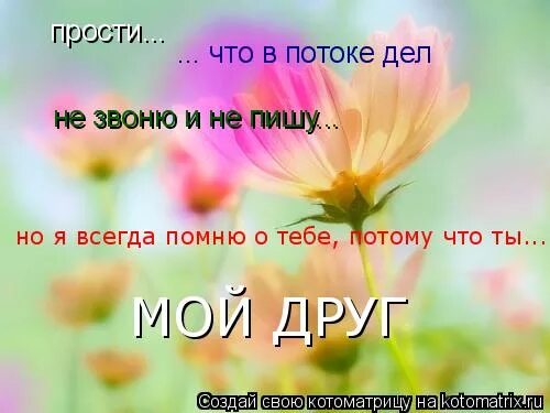 Прости что не звонил. Всегда помню о тебе. Я помню о тебе всегда. Я помню о тебе стихи. Открытка я помню о тебе.