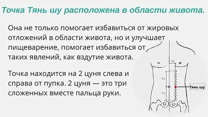 Кг нужна точка. Схема точек акупунктуры для похудения. Точки иглорефлексотерапии для похудения. Акупунктурная точка для похудения. Китайские точки для похудения.