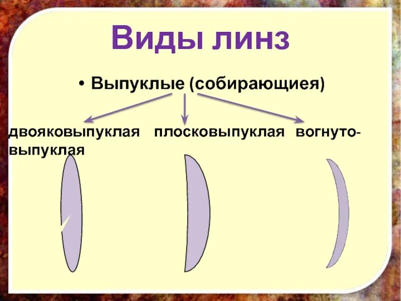 Суть выпуклой линзы собирающие. Двояковыпуклая линза. Виды выпуклых линз. Выпуклые и вогнутые линзы. Двояковыпуклая линза физика.