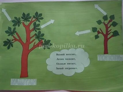 Ответ загадки весной веселит летом холодит