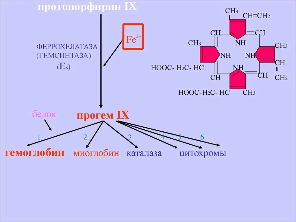 Строение протопорфирина IX. Синтез протопорфирина 9. Структура протопорфирина 9. Протопорфирин IX распадается.