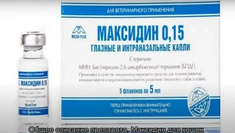 Максидин для кошек применение