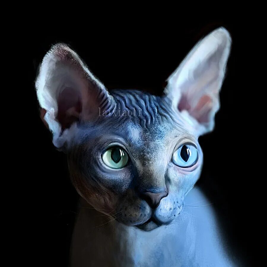 Кошка в отражении. Красота кошек. Кошка 5 d. Кошки. Алмазная кошка.