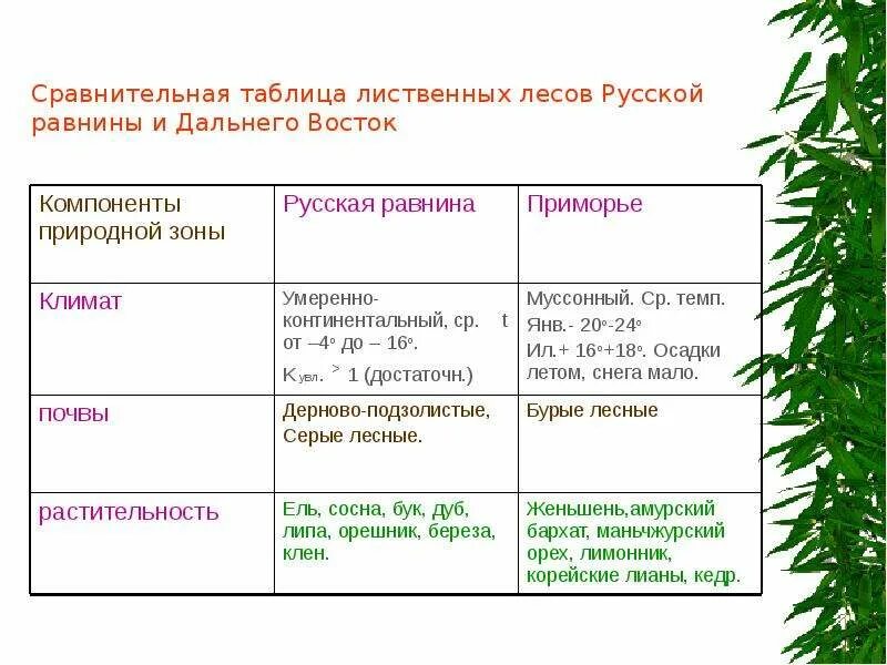 Таблица разнообразие лесов. Широколиственные леса дальнего Востока таблица. Компоненты природной зоны русская равнина Приморье. Муссонные леса дальнего Востока таблица. Смешанные и широколиственные леса на Дальнем востоке таблица.