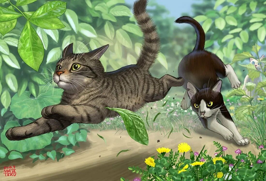 Мята коты воители. Коты воители 2 кота. коты воители коты бегут. коты воители две кошки. коты воители котята играются.