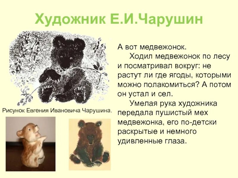 Краткое содержание рассказов чарушина. Краткое содержание рассказов чарушина