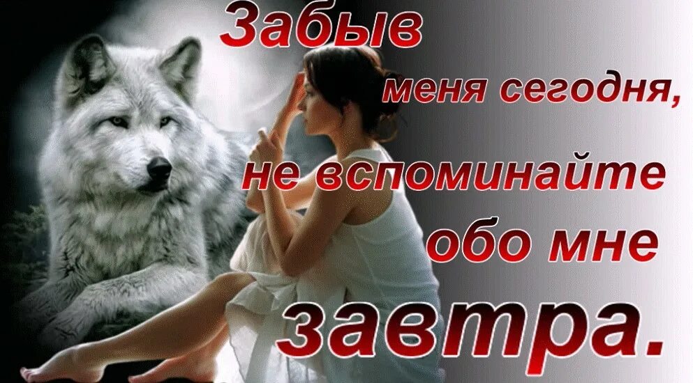 Забываешь обо всех проблемах. Забыв меня сегодня не вспоминайте меня завтра. не вспоминайте обо мне. забыв меня сегодня не вспоминай обо мне завтра. забыв обо мне сегодня не вспоминайте обо мне завтра.