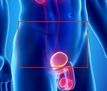 Male Pelvic Ultrasound Access MRI.