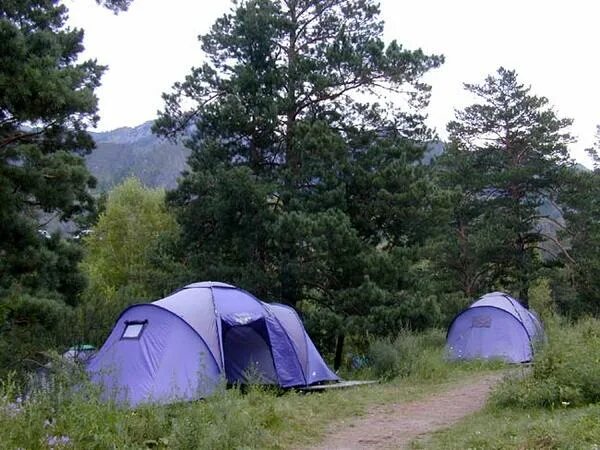 Палаточный лагерь на телецком озере. Горный алтай палаточные лагеря. Кемпинг «аак-теленгит». Палаточный городок телецкое озеро артыбаш. Кемпинг-городок «бирюзовая катунь».